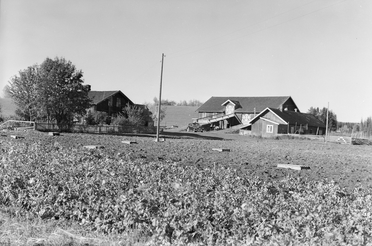 Anno Domkirkeodden, EKSTR: GARDSTUN, FOSKUM, LØTEN. Se Løtenboka, bind 2. Bygdeboka fra 1953, side 50.