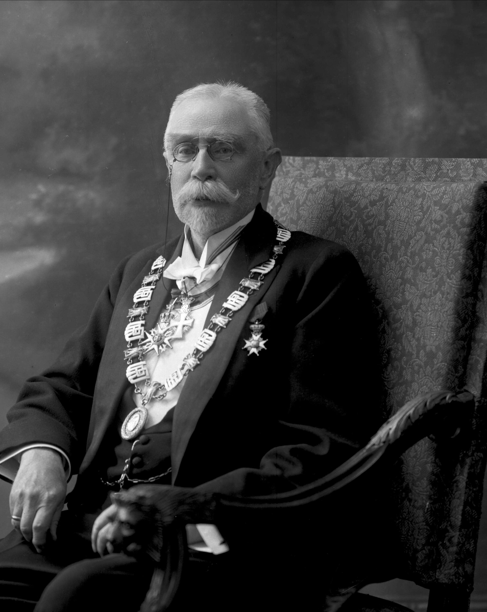 Gustav Borgen, Portrett, rektor ved universitetet i Oslo. Professor Morgenstjerna.