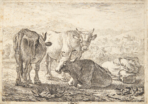 Pieter van Laer, Tre stude og en sovende mand