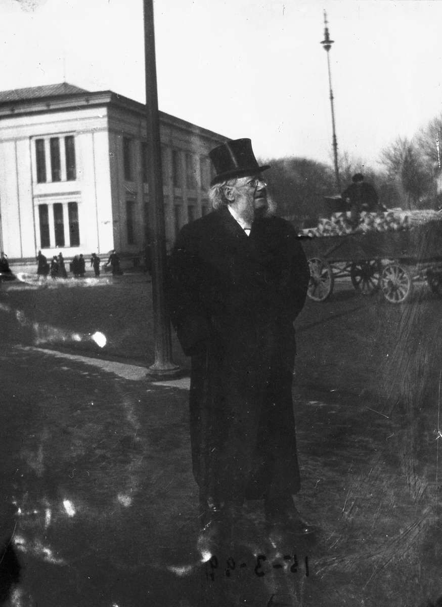 Anders Beer Wilse, Prot: Ibsen Henrik ved Universitetet