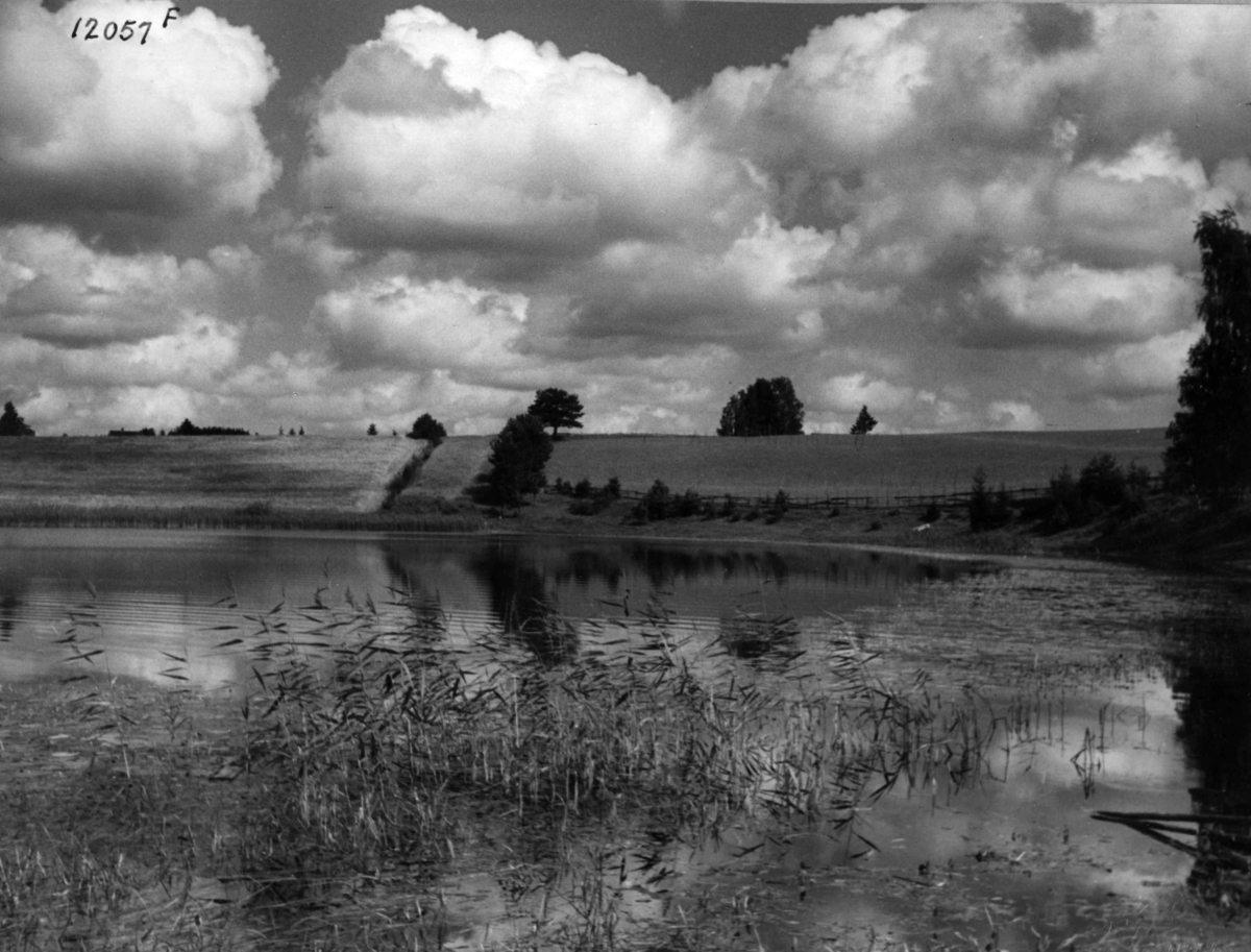 Anders Beer Wilse, V/ Raknehaugen