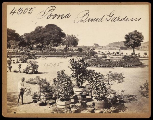 Francis Frith, Photograph