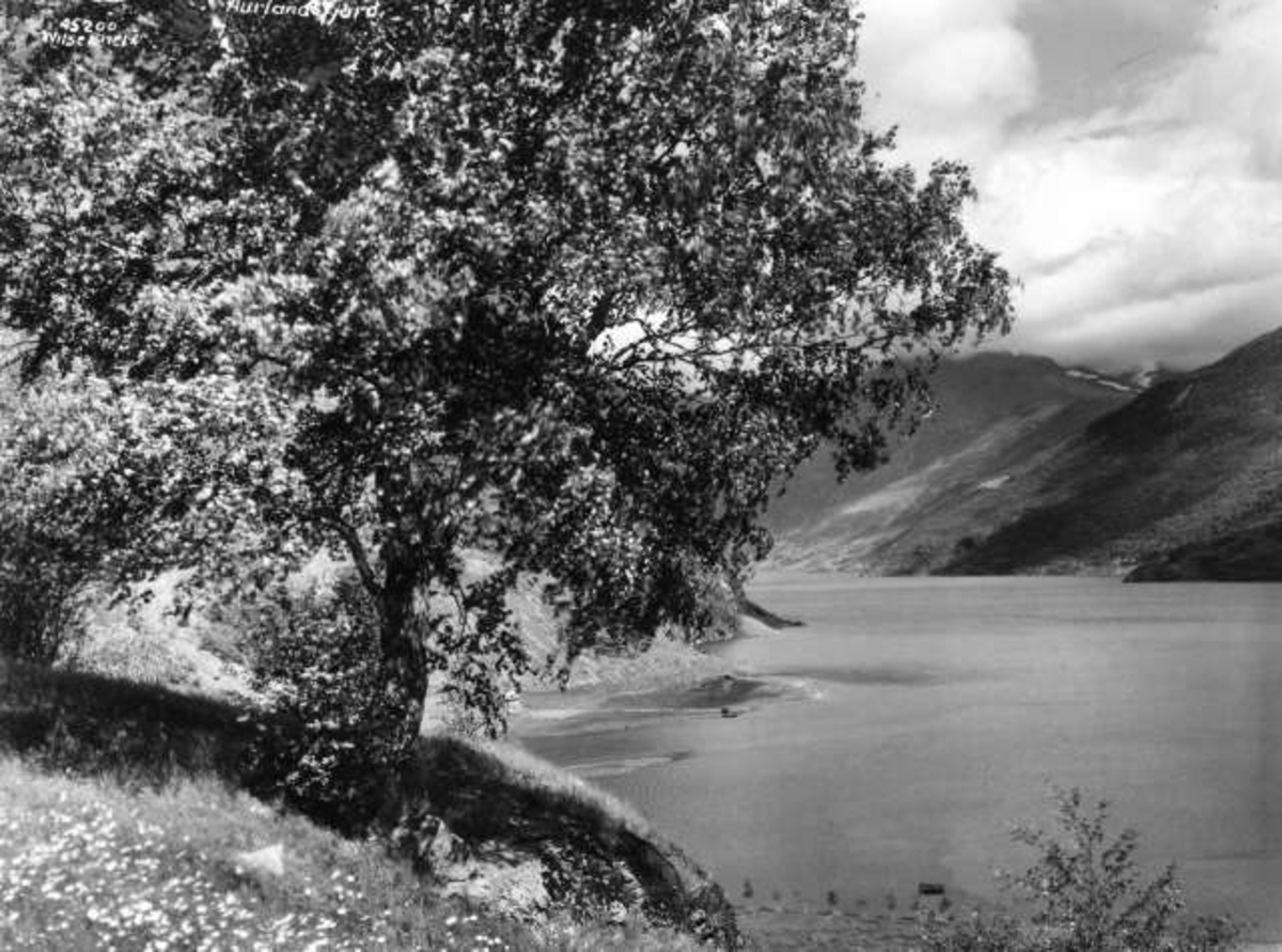 Anders Beer Wilse, -5957