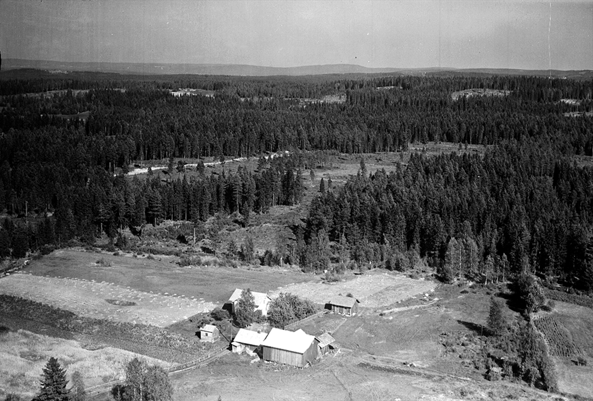 Widerøes Flyveselskap A/S, FLYFOTO, DAMLØKKEN 280-4, ÅSBYGDA