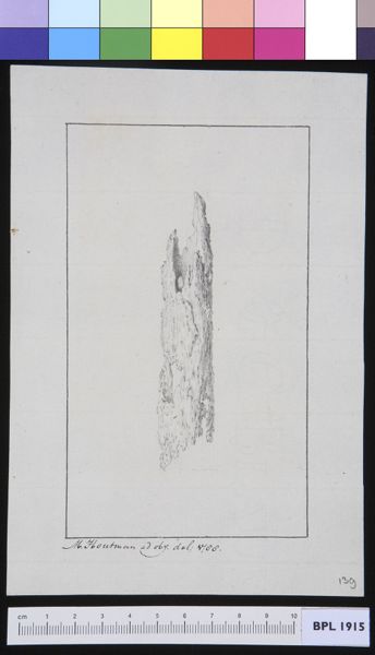 M Houtman, Infected bone