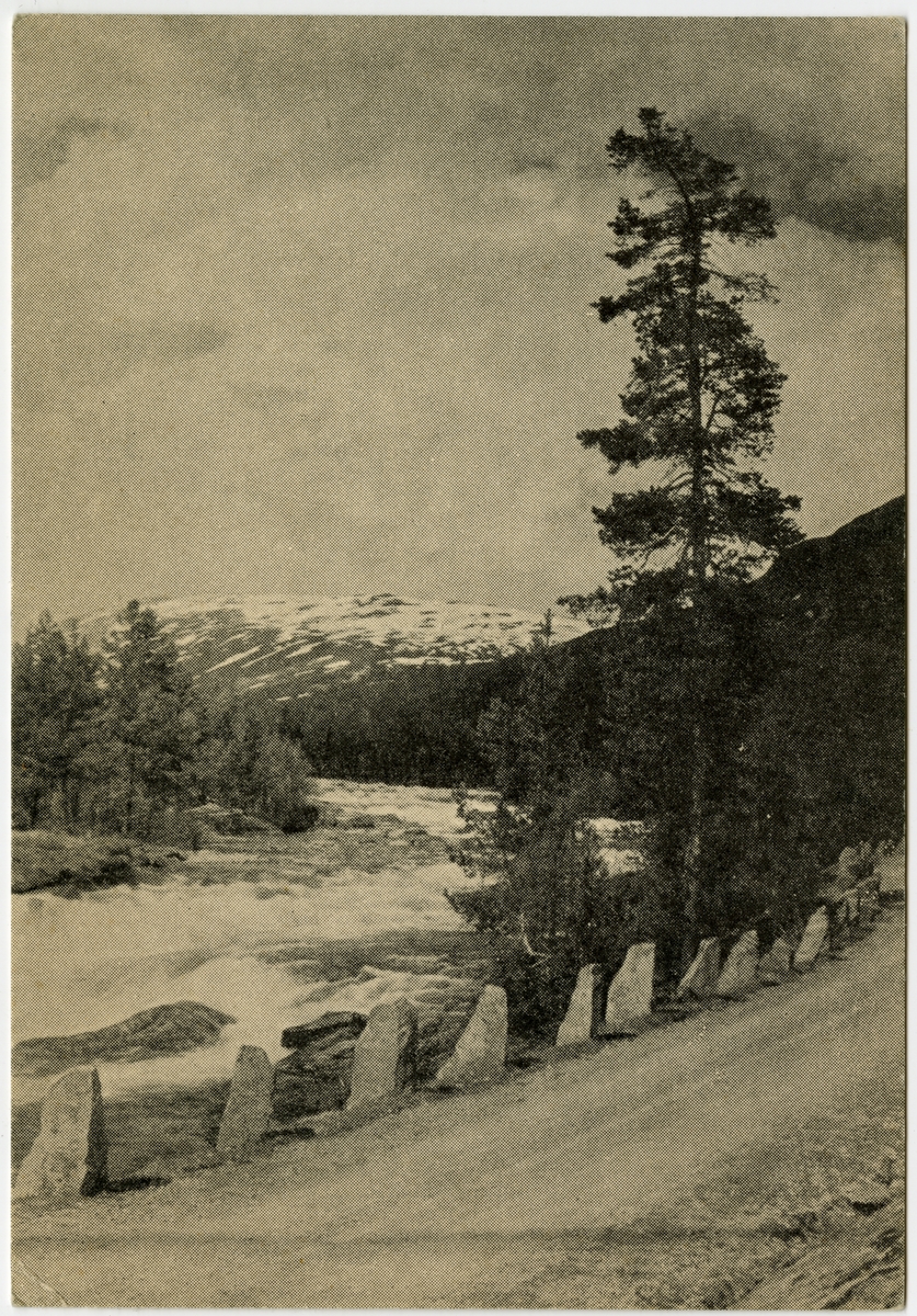 Anders Beer Wilse, Ottaelven ved Pollfoss