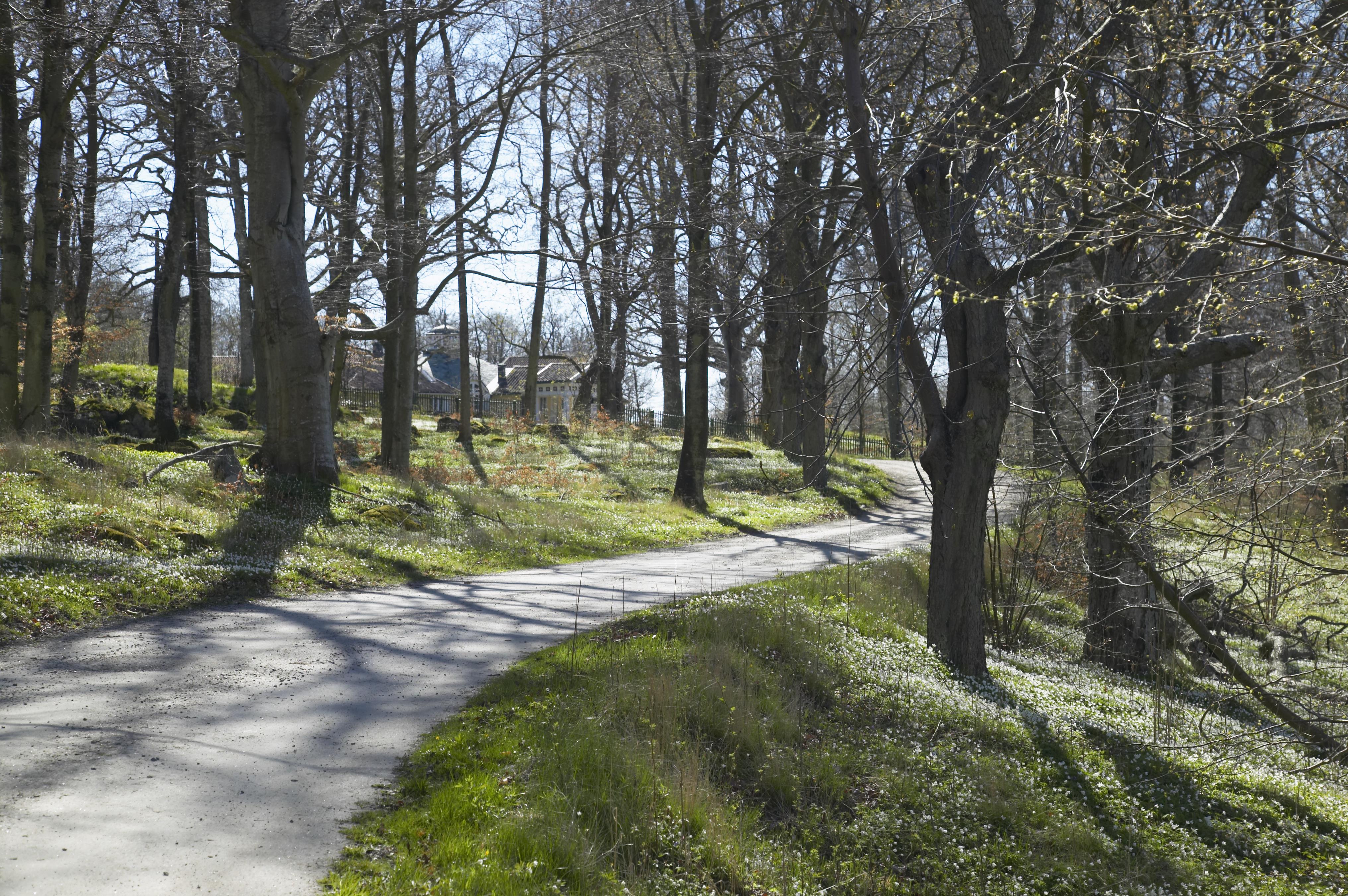 Bengt A Lundberg, Skärva