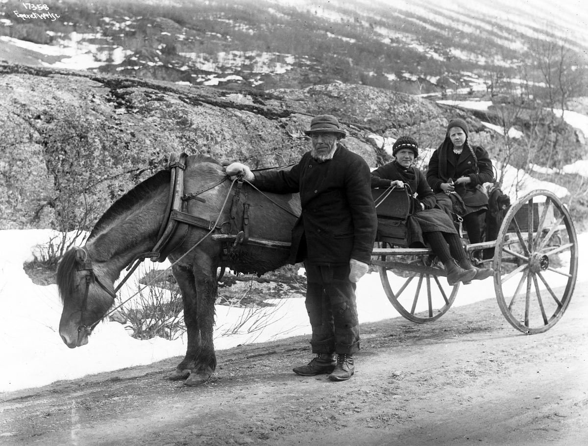 Anders Beer Wilse, Prot: Valdres Skydsgutten Kariol