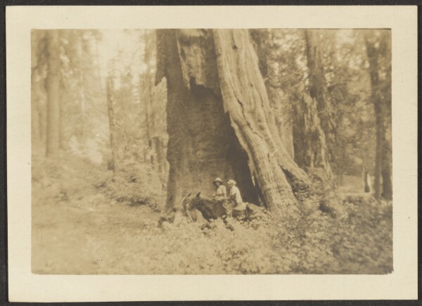 Louis Fleckenstein, [Figures on Horseback before Massive Hollow Tree]