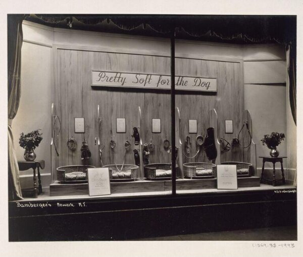 Unknown, Photograph