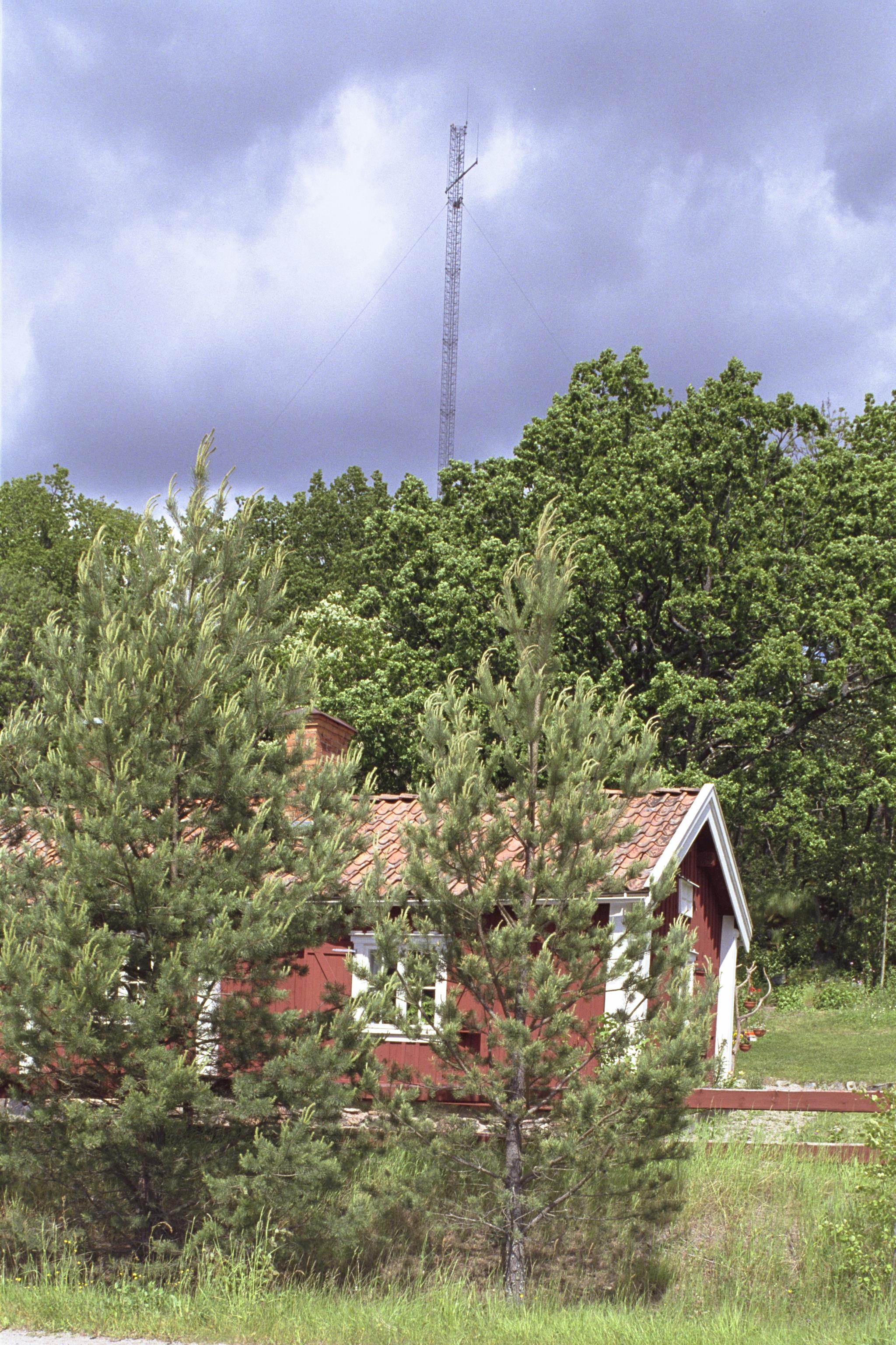 Bengt A Lundberg, Edsala