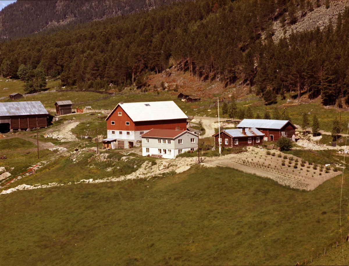 Widerøes Flyveselskap A/S, Gårdsbruk (Kvernbergshaugen).