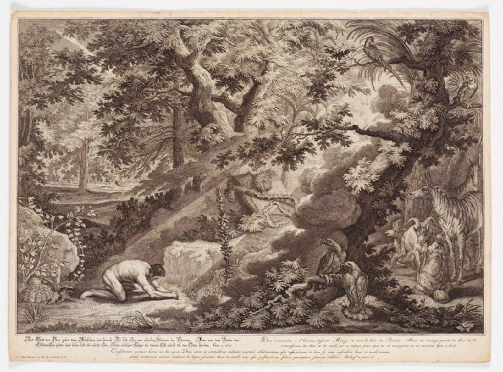 Johann Elias Ridinger, Gud forbyder Adam at spise af kundskabens træ