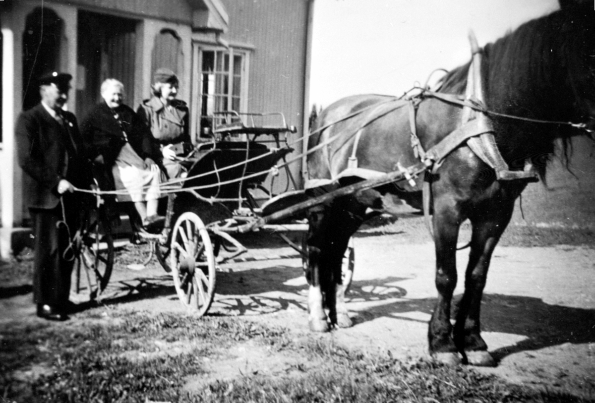 Anno Domkirkeodden, Hest med trille utenfor huset på Raknerud søndre, Helgøya. Martin Langseth (1893-1978) og Betsy Langseth (1893-1974).