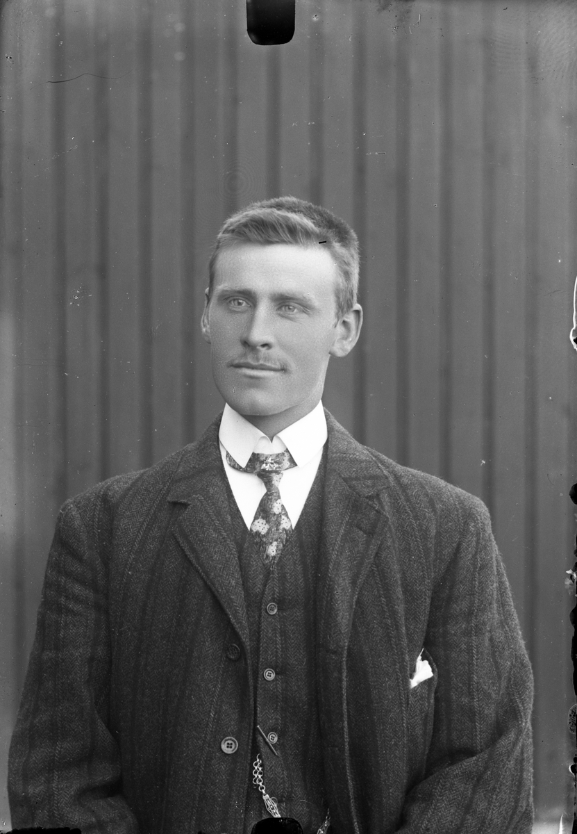 Oscar Holte, Portrett av mann