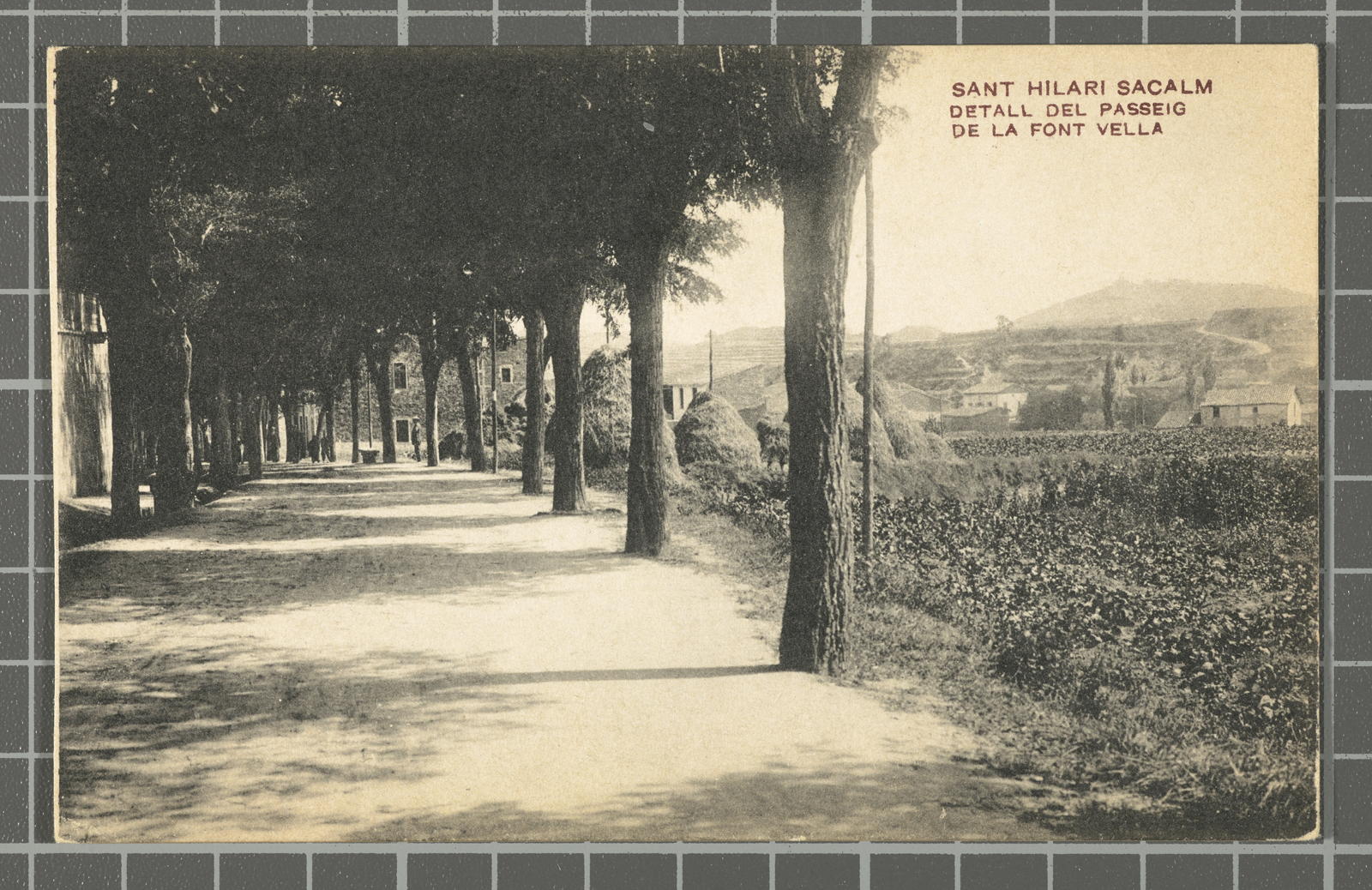 Amadeu Mauri Aulet, Sant Hilari Sacalm. Detall del Passeig de la Font Vella