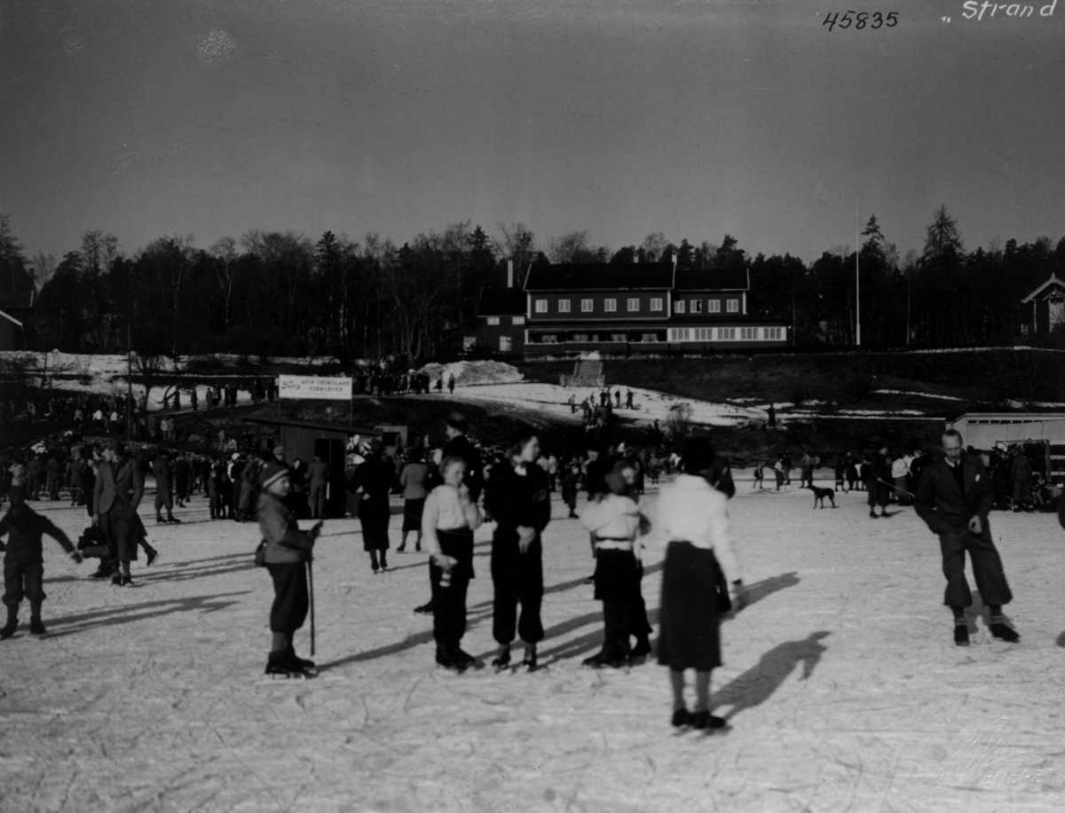 Anders Beer Wilse, Friluftsliv/Sport, Skoyter, vinter.