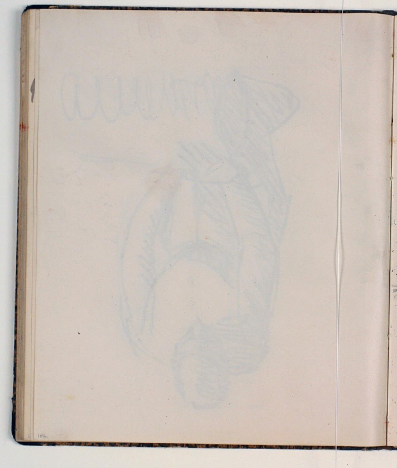 Niels Larsen Stevns, Blank