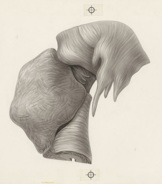 J Tinkelenberg, Human tissue
