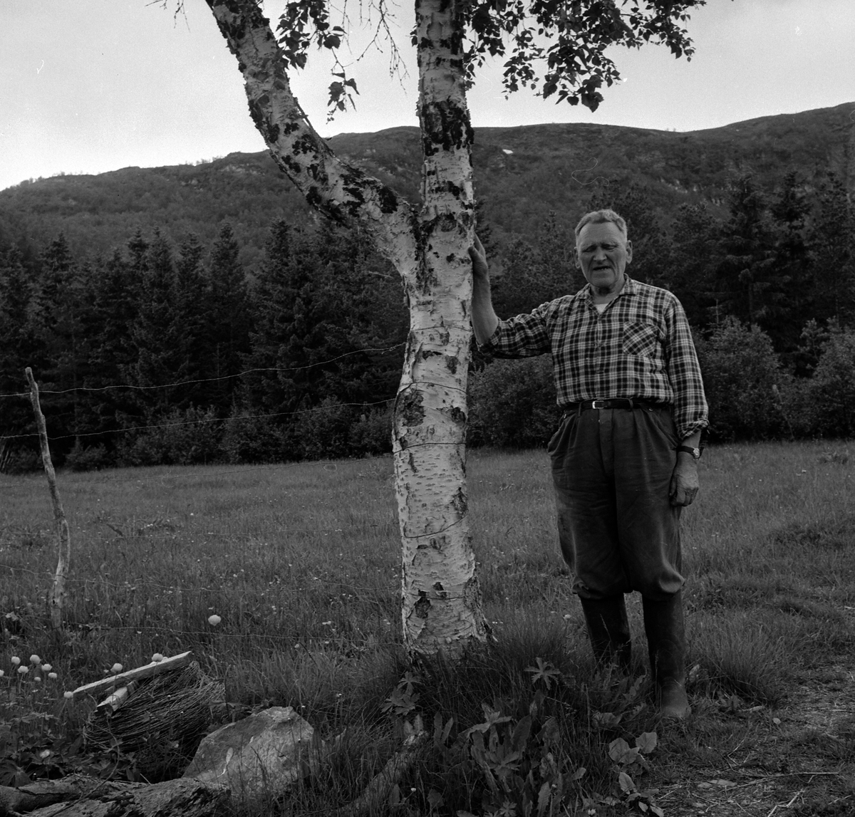 Adolf Skjegstad, ASK-02340