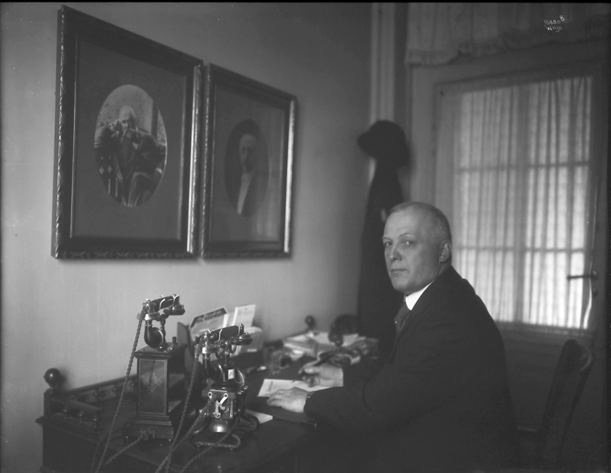 Anders Beer Wilse, Prot: Elefant Apotheket dr.