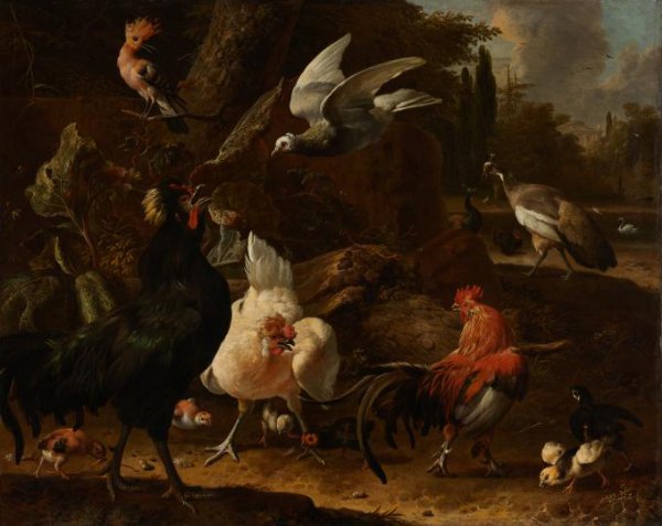 Melchior d' Hondecoeter, Birds in a Park