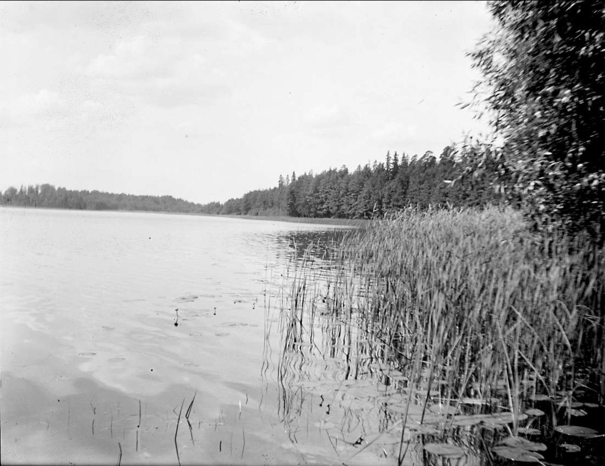 August Fredrik Schagerström, Gillfjärden vid Uddeboö, Estuna socken, Uppland juli 1927