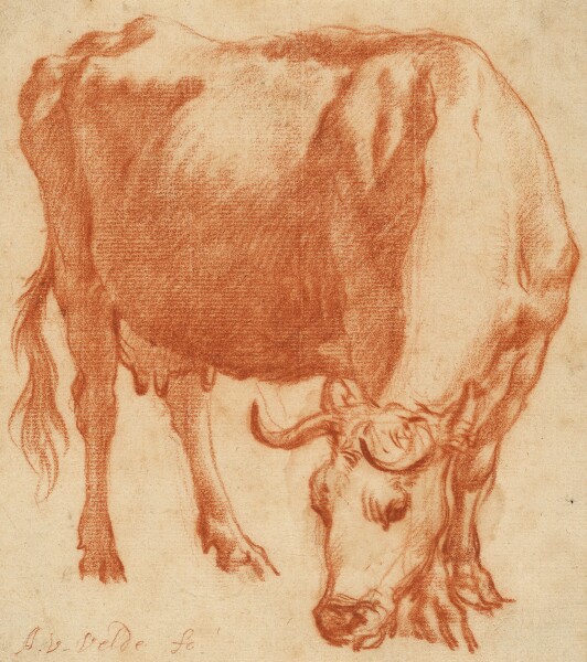 Adriaen van de Velde, A Cow Grazing