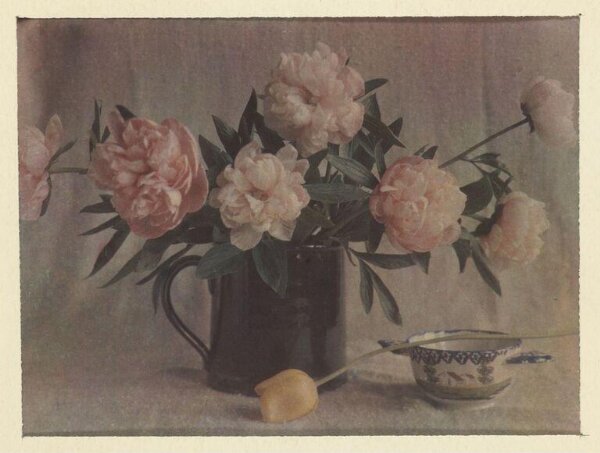 Warburg, Agnes Beatrice, Peonies