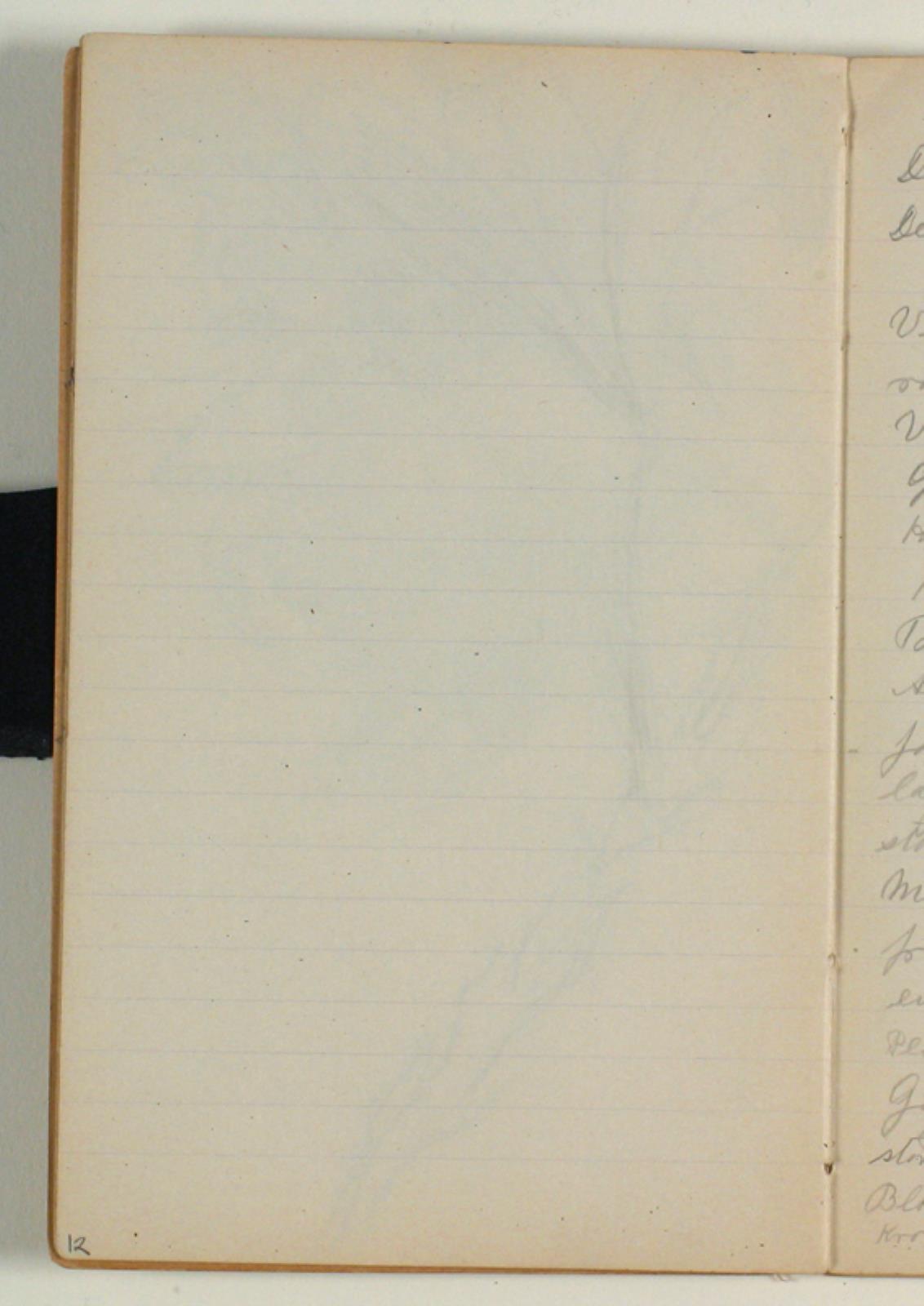 Niels Larsen Stevns, Blank