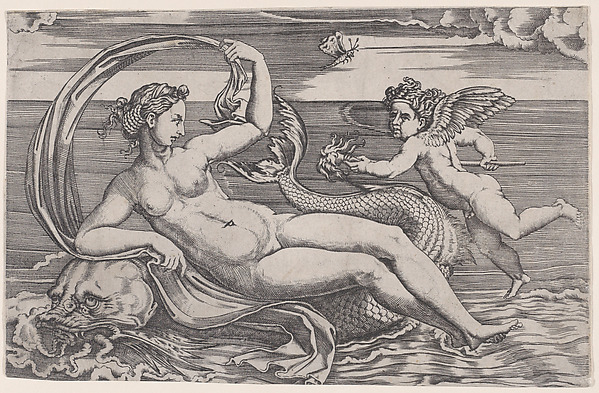 Agostino Veneziano (Agostino dei Musi), Venus Reclining on a Dolphin