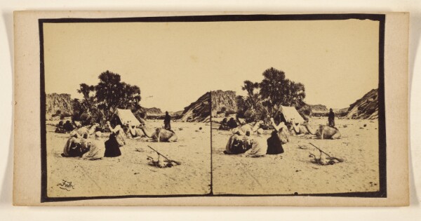 Francis Frith, [Desert campsite at small oasis, camels around tent]
