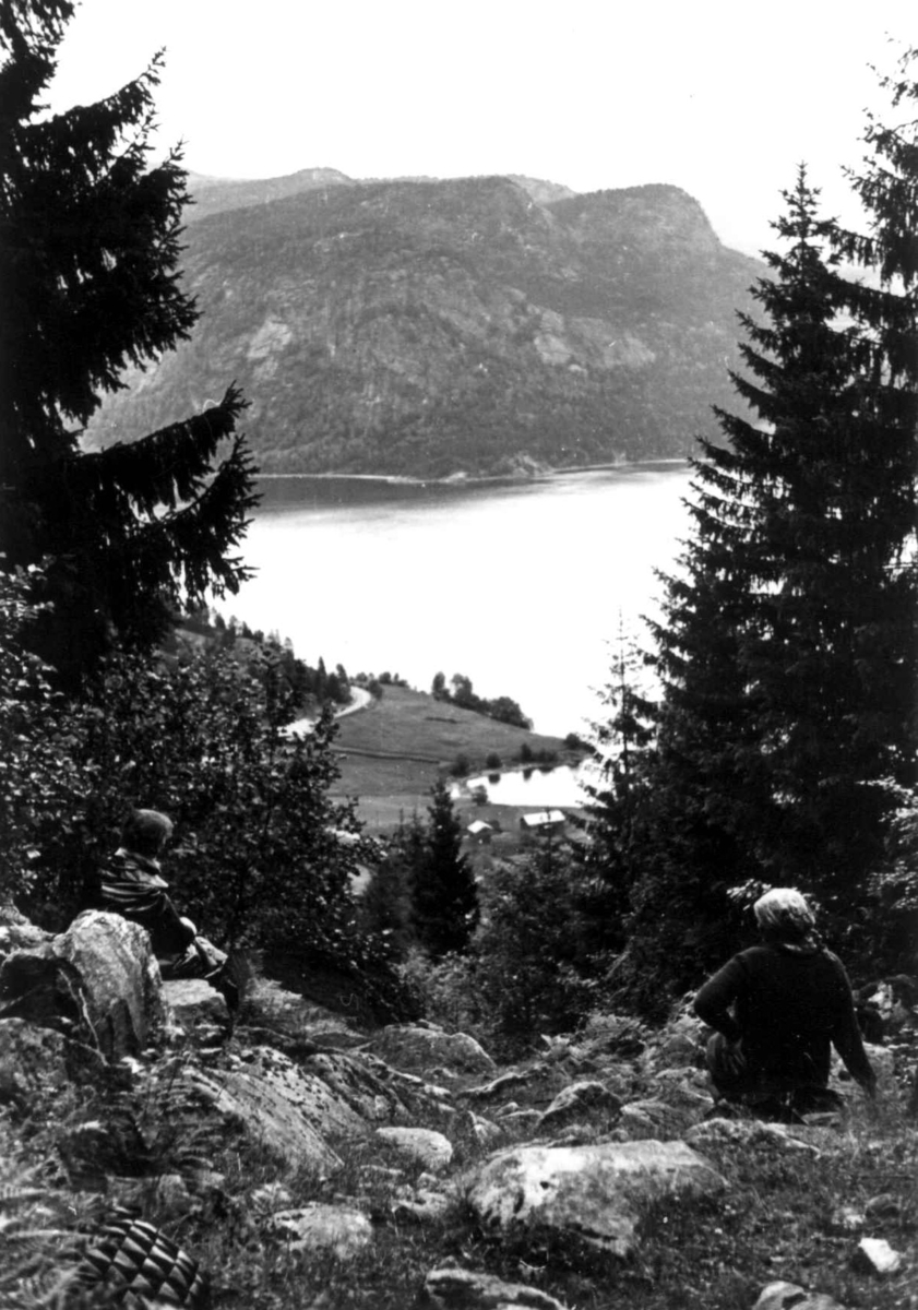 Anna Grostøl, Frøysnes, Bygland, Setesdal, Aust-Agder 1941. Fru Gyro og en kvinne på tegersanking.