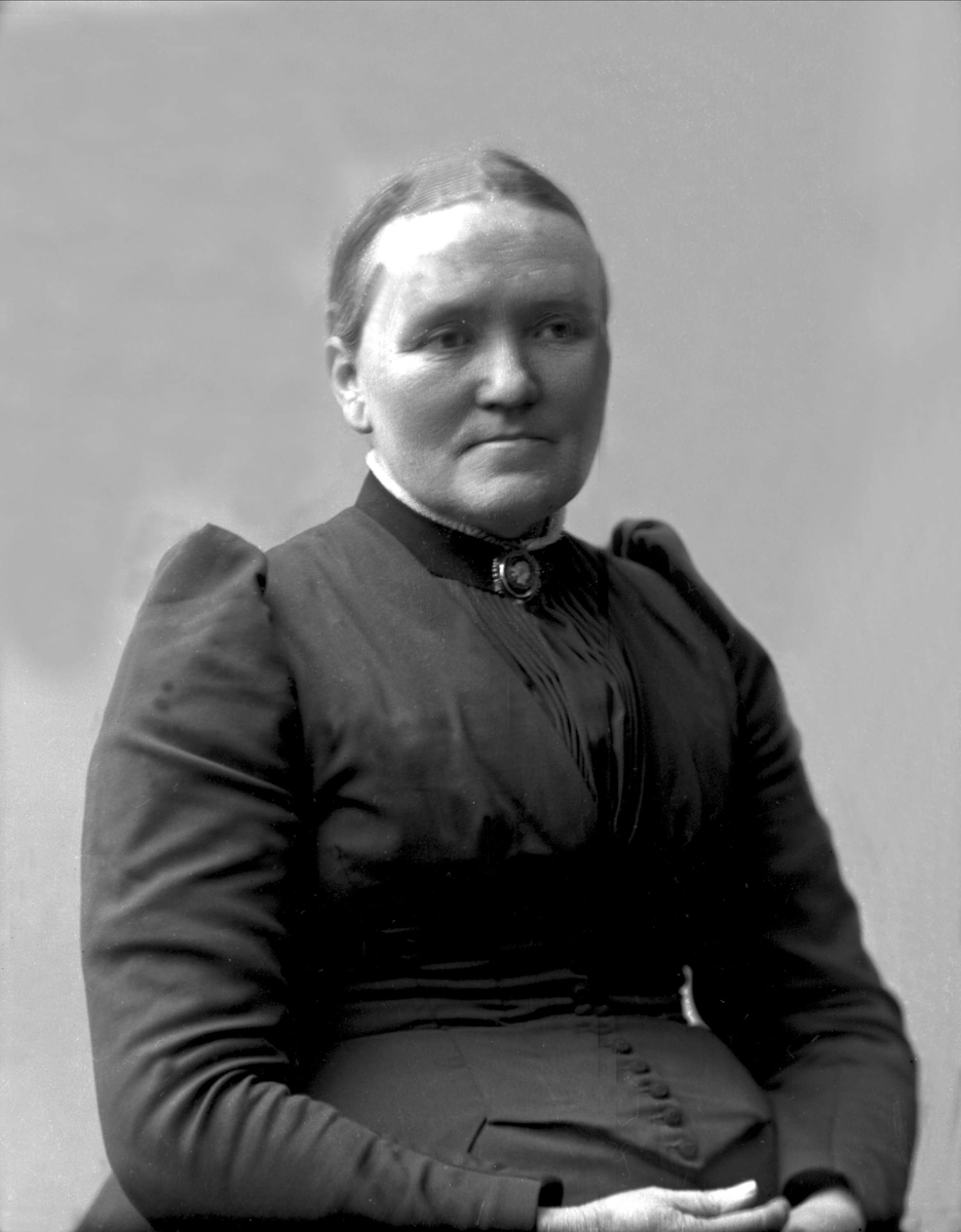 Gustav Borgen, NFB.38668