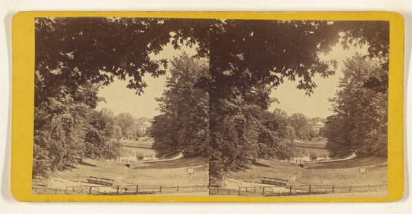 Edward and Henry T. Anthony & Co., View looking towards the Lake, Druid Hill Park. [Baltimore, Md.]