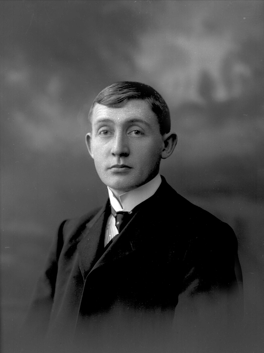 Gustav Borgen, Portrett av ung mann i dress (Kristian Strømmen)