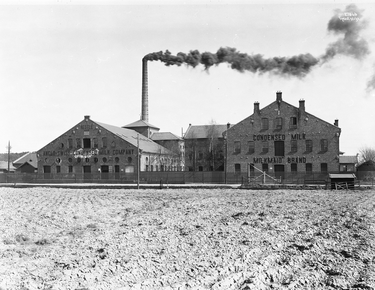 Anders Beer Wilse, Prot: Nestle Melkefab. Sarpsborg