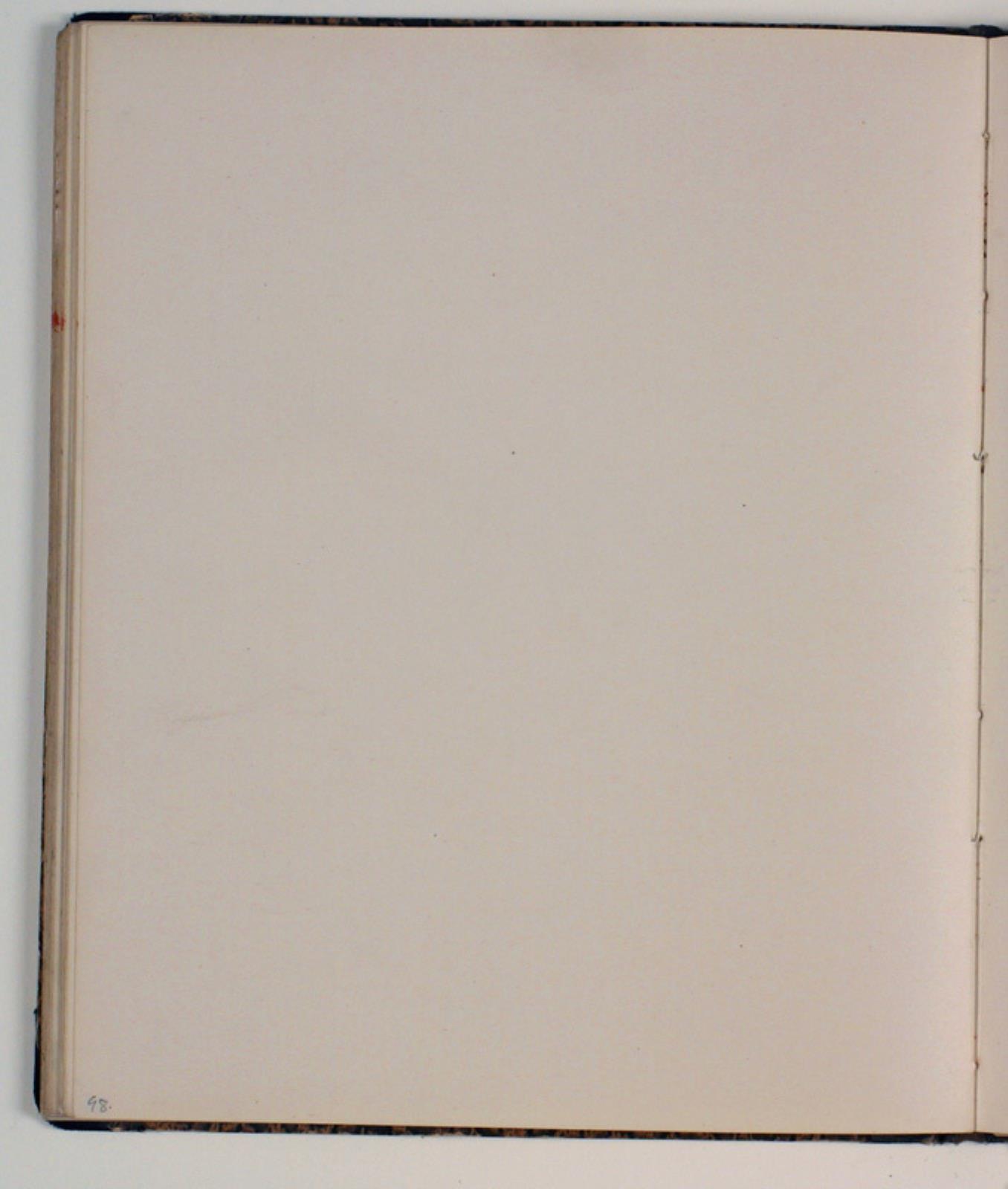 Niels Larsen Stevns, Blank