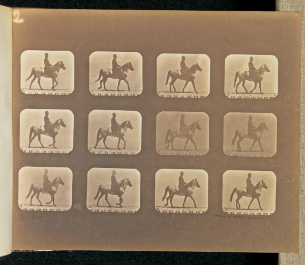 Eadweard J. Muybridge, Walking