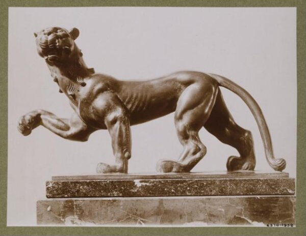 unknown, Photograph