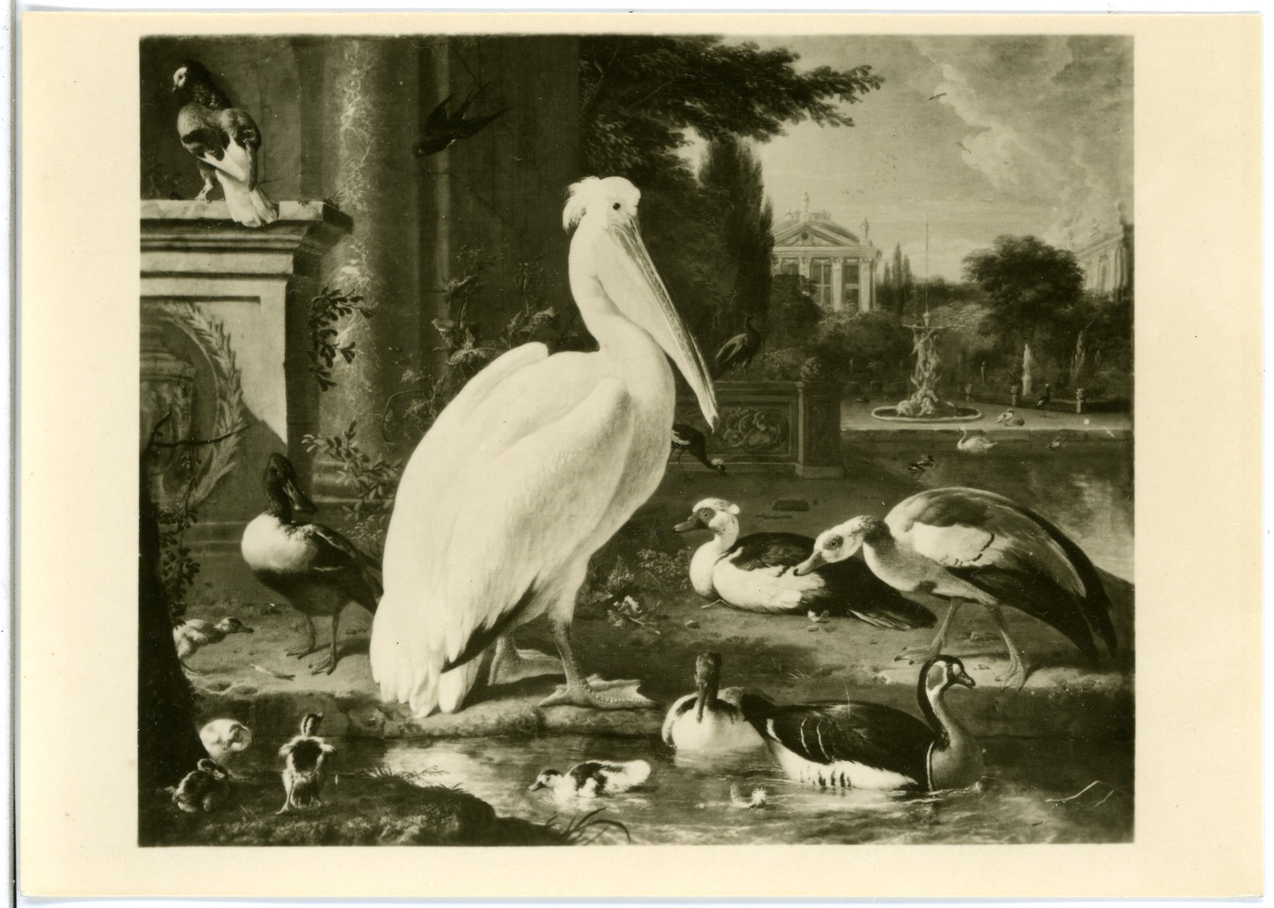 Melchior d'Hondecoeter, Pelican and other waterfowl in a Park