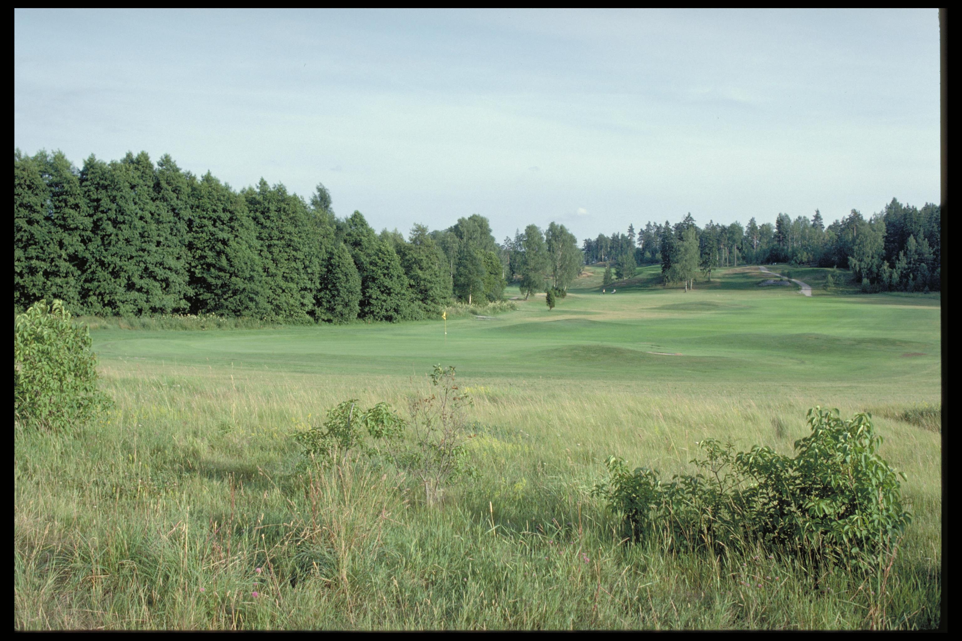 Bengt A Lundberg, Risbyle