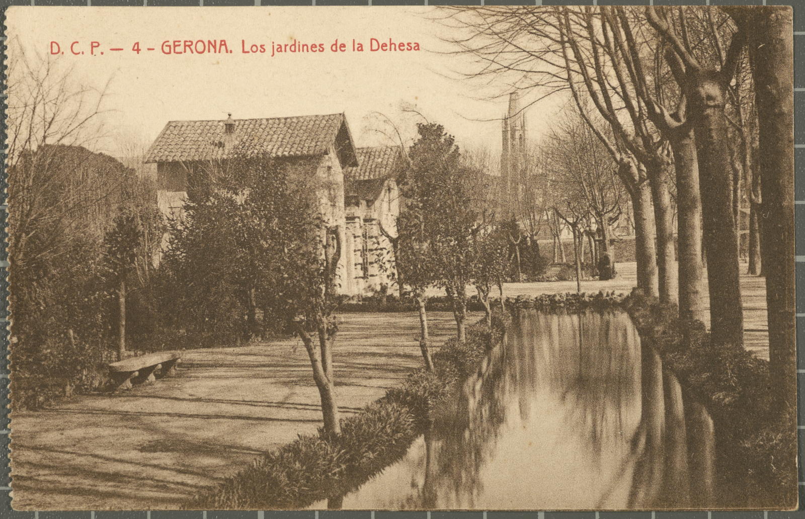 Desconegut, 4 - GERONA. The Hedgehogs of Dehesa