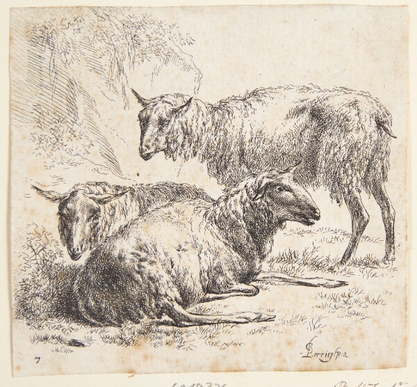 Nicolaes Berchem, Tre får