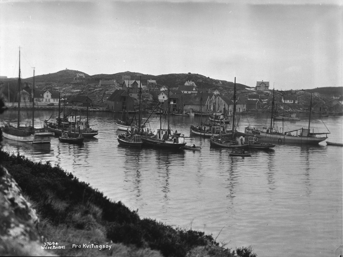 Anders Beer Wilse, Prot: Kvitingsøy, fiskeflaate