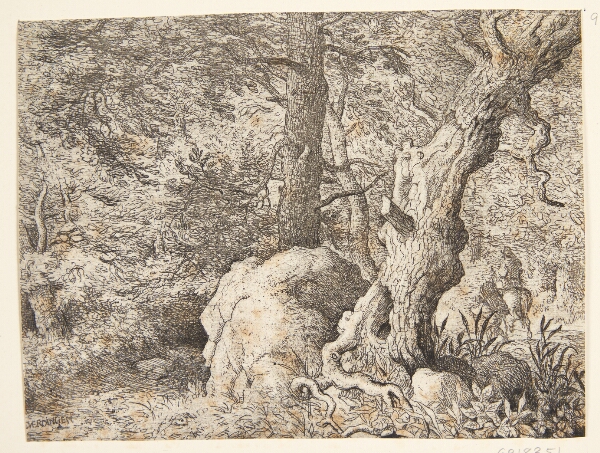 Allaert van Everdingen, En skov