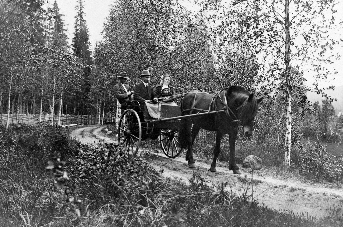 Anno Domkirkeodden, HEST MED VOGN, I VOGNA FRA VENSTRE: ALF BJØLSETH, AKSEL BJØLSETH, MARIE BJØLSET MED ARNE PÅ FANGET, MALUNGEN, VALLSET,