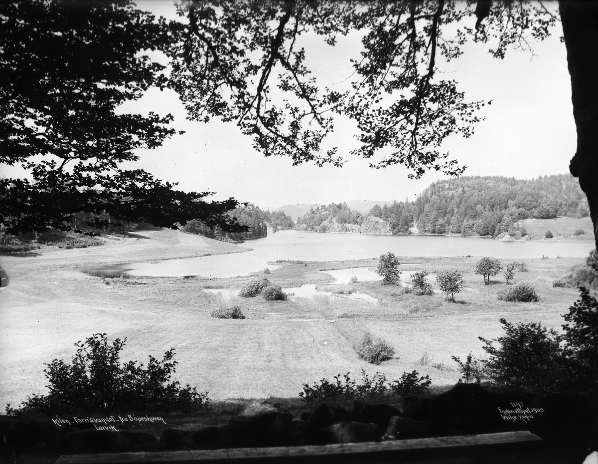 Anders Beer Wilse, Prot: Larvik - Farrisvannet - Kilen fra Bøgeskogen 21. Juli 03