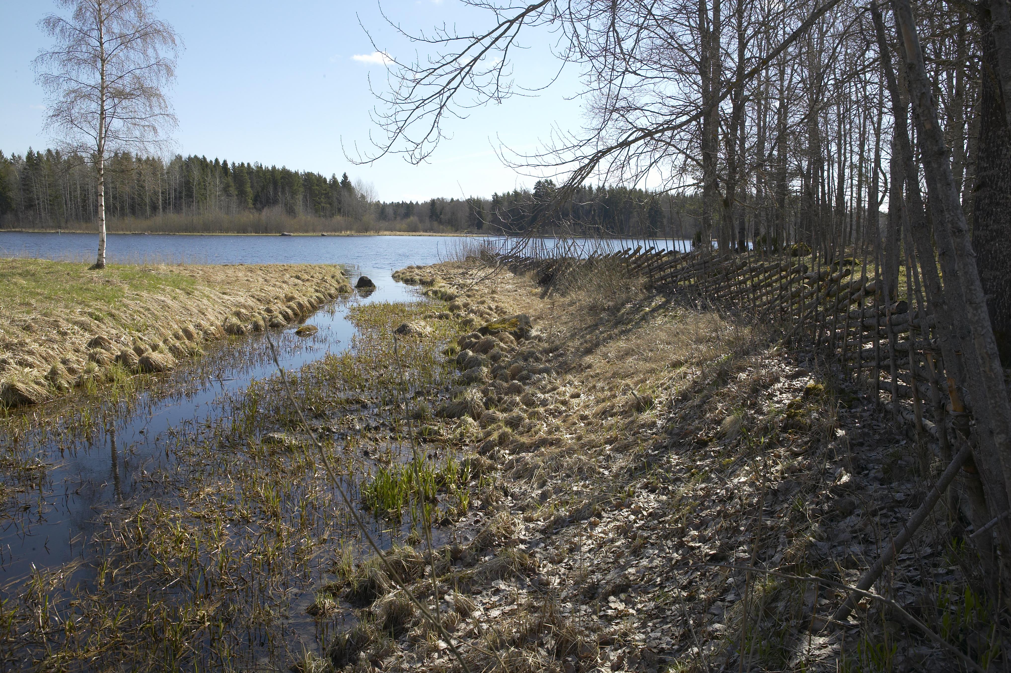 Bengt A Lundberg, Bredforsen