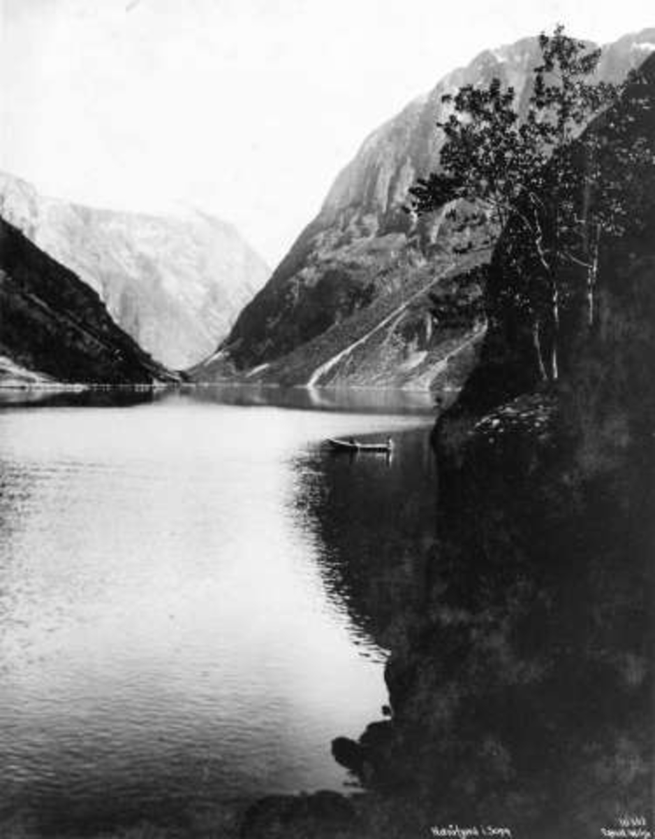 Anders Beer Wilse, -6046